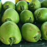 Fresh Water Coconuts