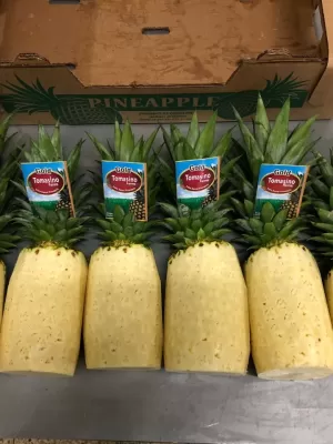 Pineapples TF