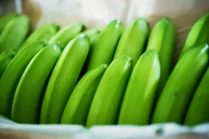 Bananas Costa Rica