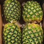 Crownless Pineapple