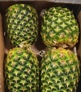 Crownless Pineapple Golden