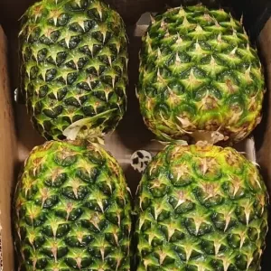 Crownless Pineapple