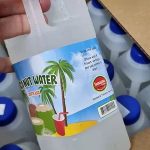 Frozen Coconut Water