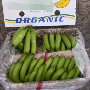 Green Organic Bananas