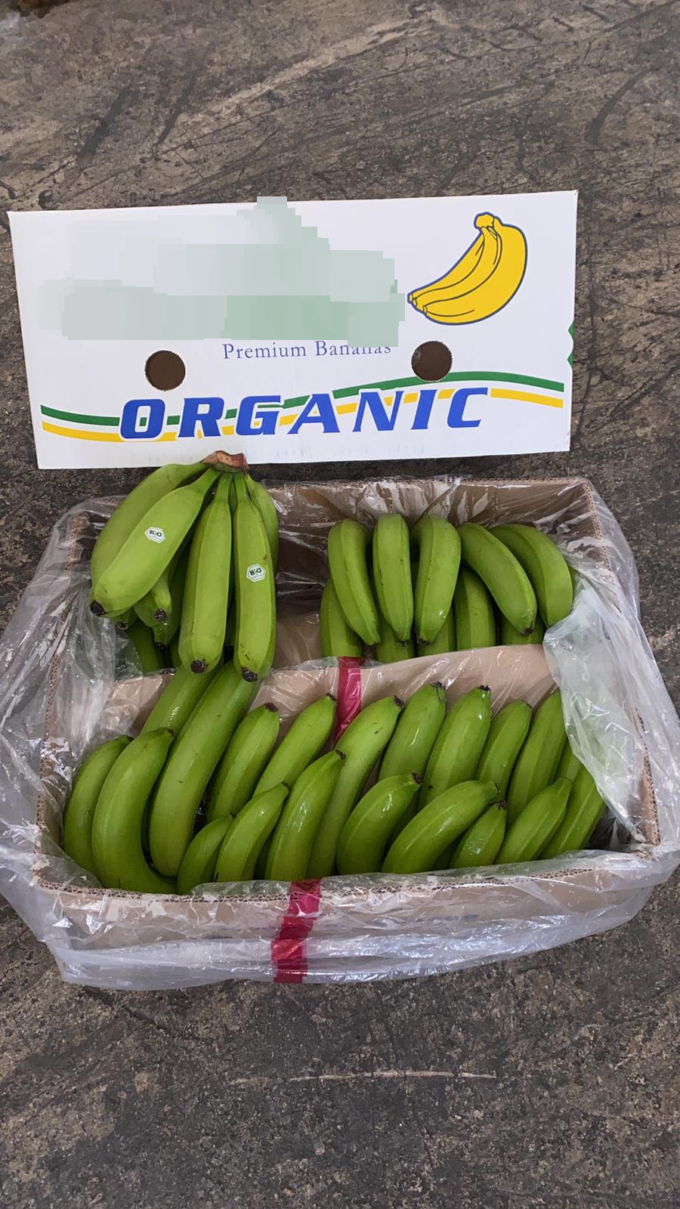 Green Organic Bananas