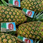 Pineapples TF