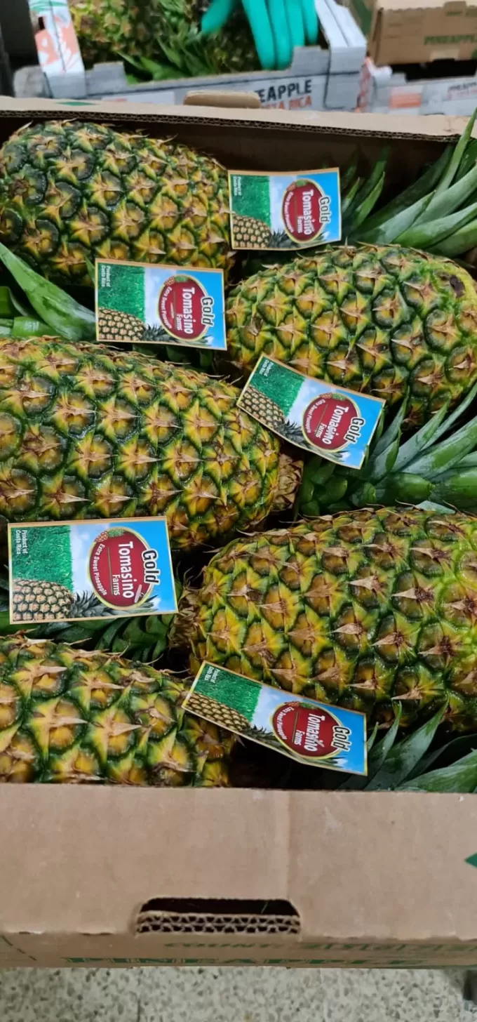 Pineapple (Honey Gold) Costa Rica