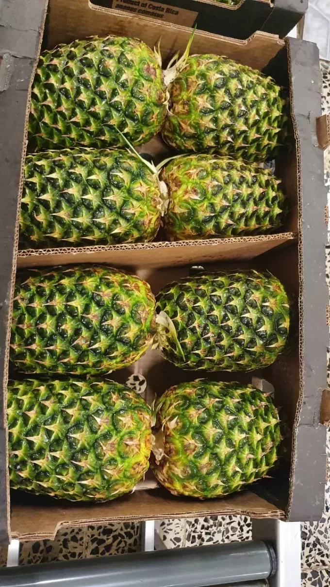 CROWNLESS PINEAPPLES