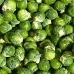 Brussels Sprouts