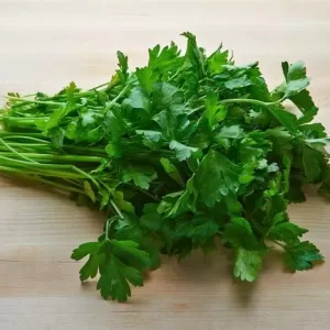 cilantro