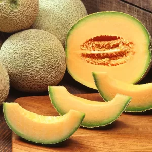 Melons USA