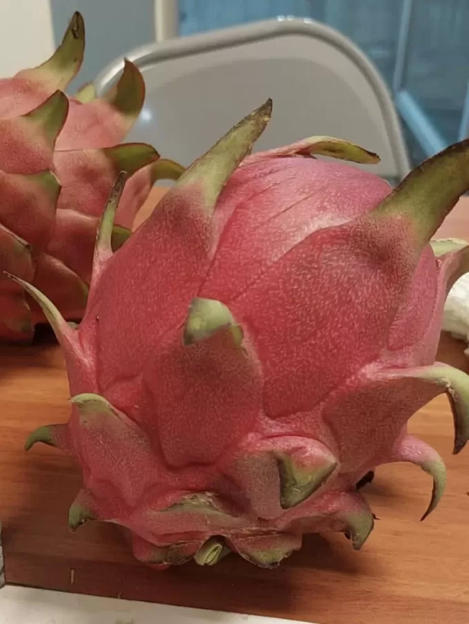 Red Dragon Fruit