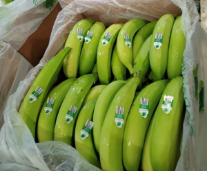 Green Plantains EC Barraganete