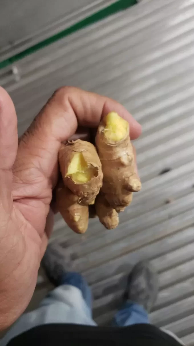 Organic Ginger Peru