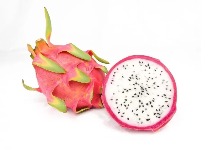 Red Dragon Fruit White Pulp