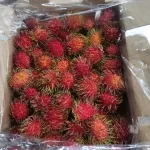 Rambutan Guatemala