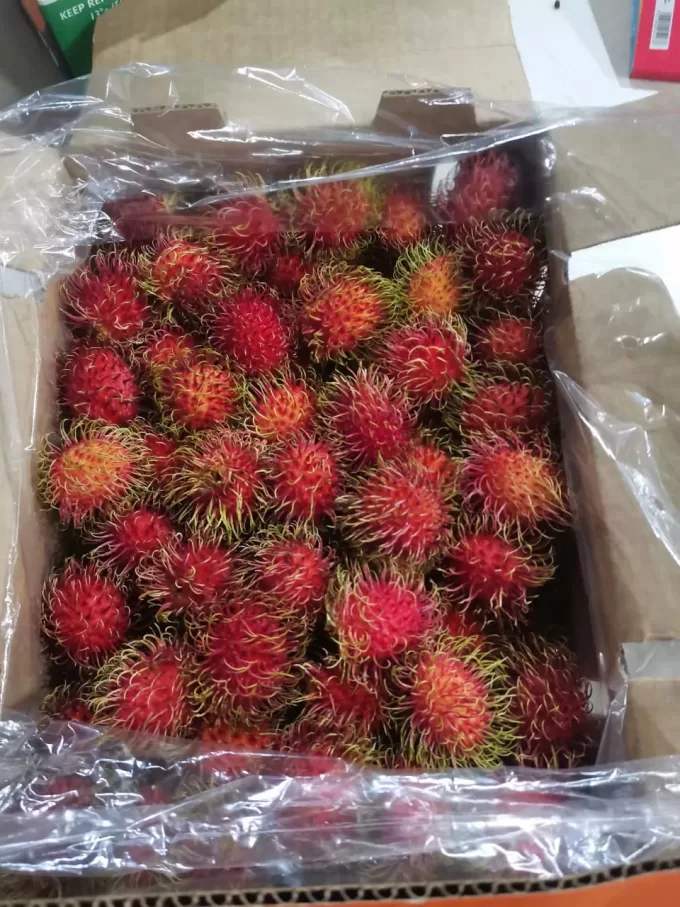 Rambutan Guatemala