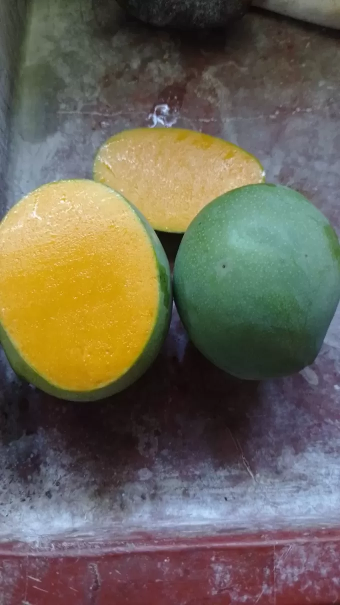 Mango Fresco