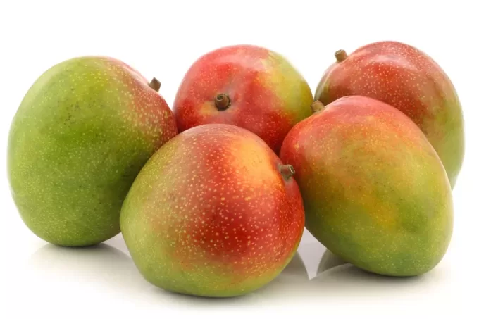 Mango Fresco