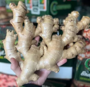 Fresh Ginger Brazil