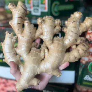 Fresh Ginger Brazil