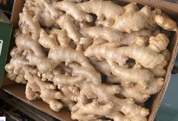 Fresh Ginger Brazil - Image 3