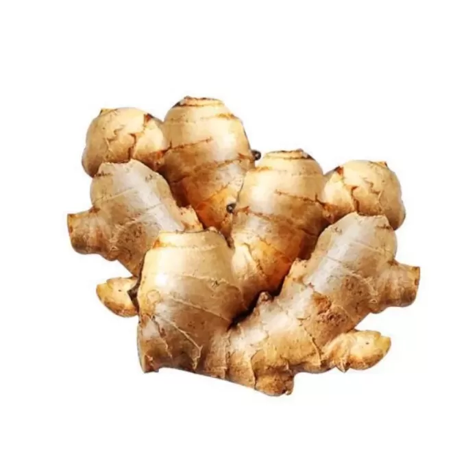 Honduras Ginger