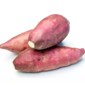 Sweet Potato