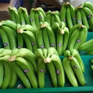 Bananas Ecuador