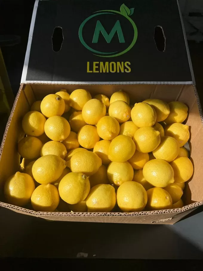 LEMONS