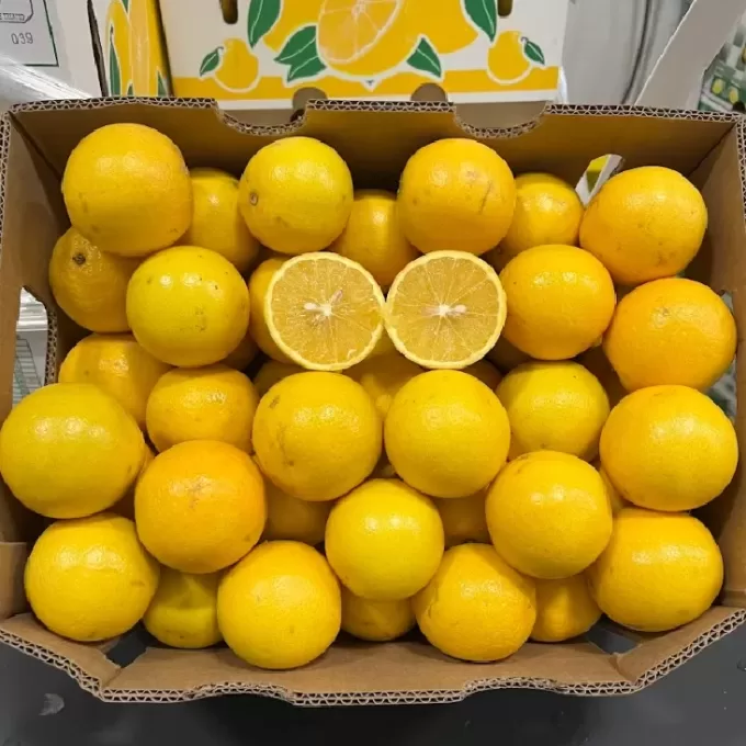 Lemons