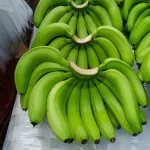 Premium Bananas