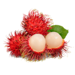 Rambutan 004