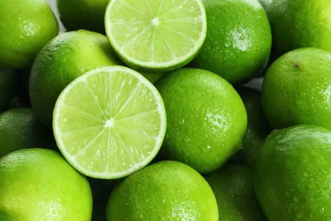 Persian Limes