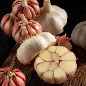 Fresh Purple Garlic