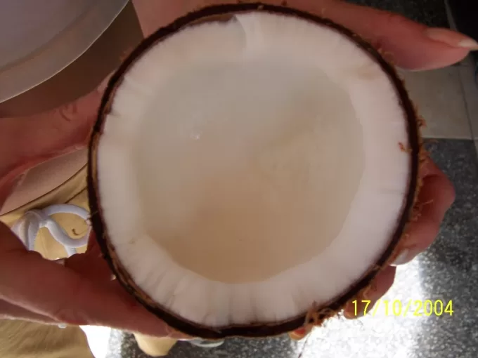 Dry Coconuts5