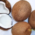 Dry Coconuts7