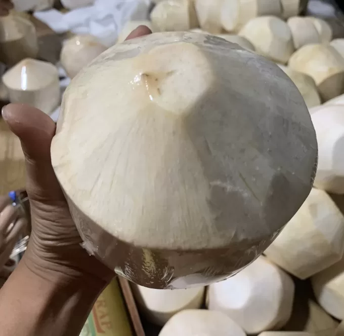 Young Coconut from Vietnam