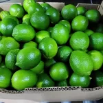 Persian Limes