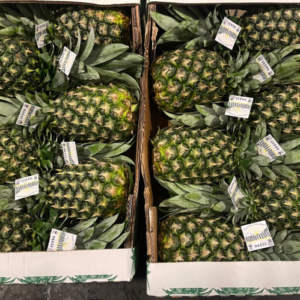 Organic Pineapple