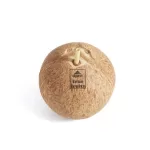 Brown Mature Coconut