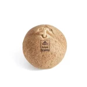 Brown Mature Coconut