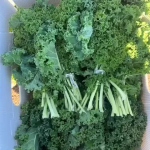 Kale