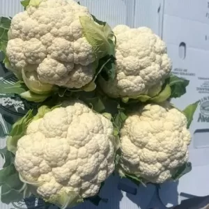 Cauliflower