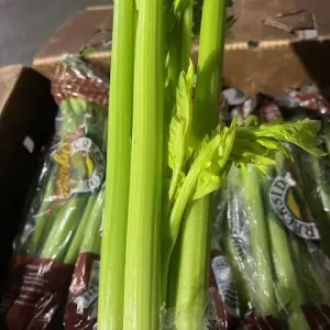 Celery