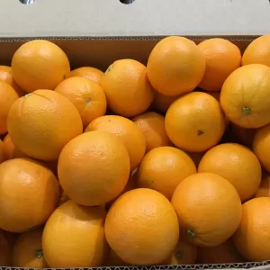 Navel Oranges