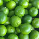 Limes