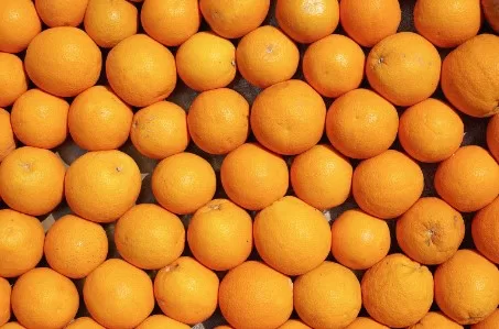 Navel Orange