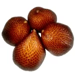 Snake Fruit/Salacca Indonesia