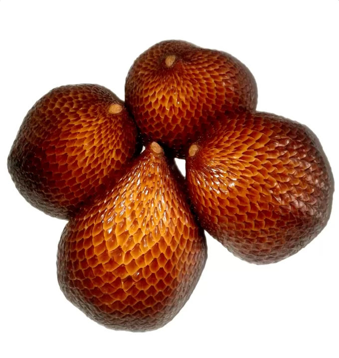 Snake Fruit/Salacca Indonesia